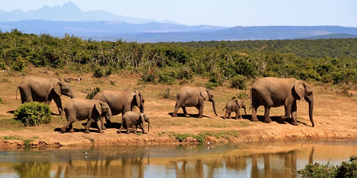 Bettersafe - The best places to travel in 2020 -  Botswana